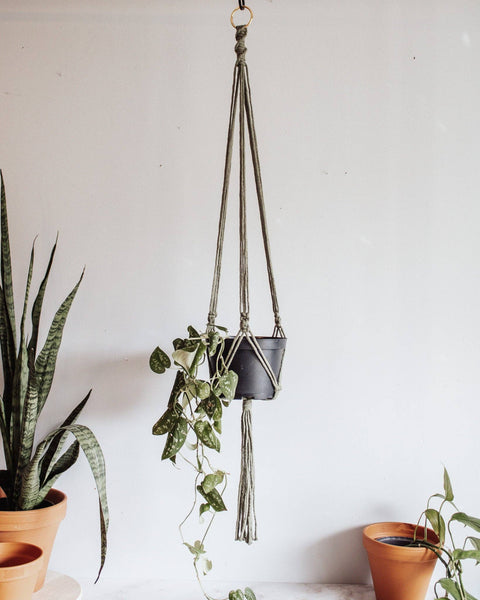 Basic Macrame Plant Hanger