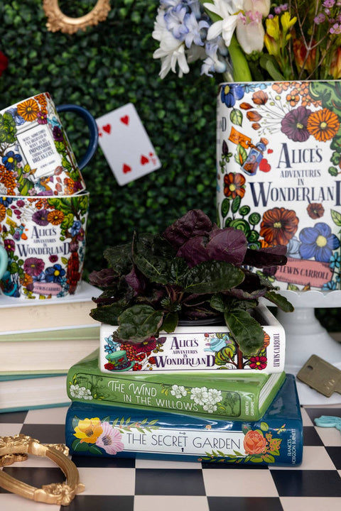 Stacked Books Planter - Alice/Wind in the Willows/The Secret