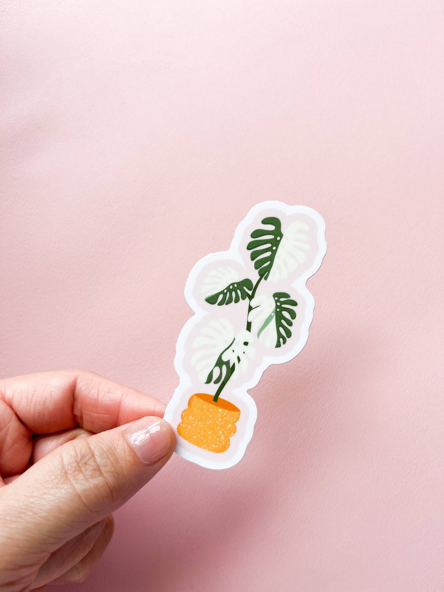 Monstera Albo Plant Sticker