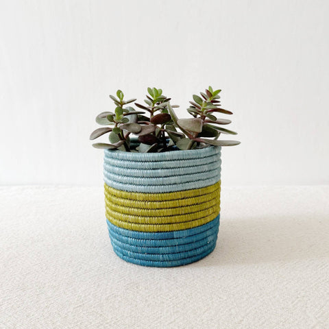 Storage Plant Basket: Kakobe