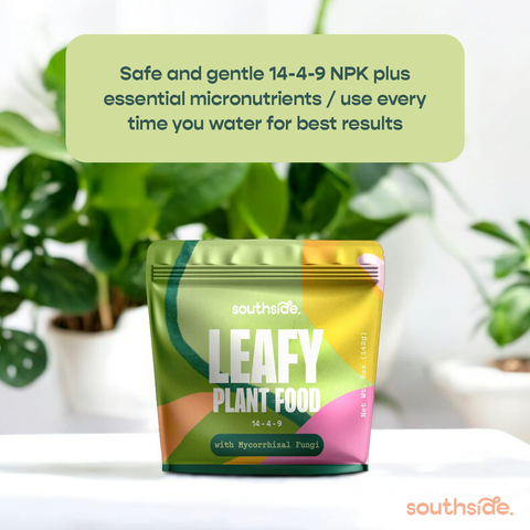 Leafy Plant Food - Complete Gentle Nutrition + Mycorrhizae