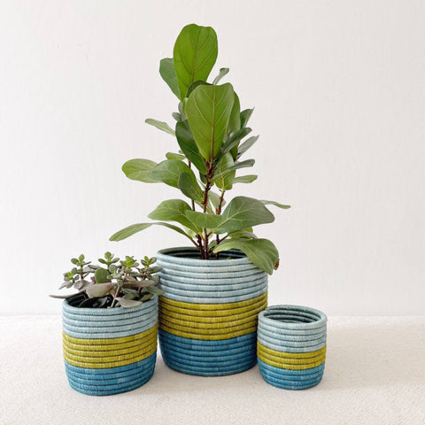 Storage Plant Basket: Kakobe