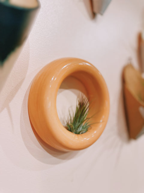 Sour Peach Sweet Roll