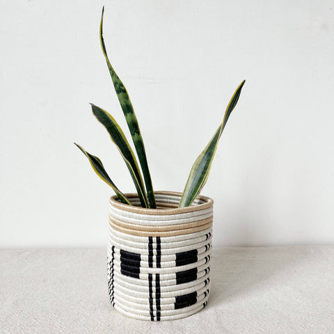 Busengo Storage Plant Basket