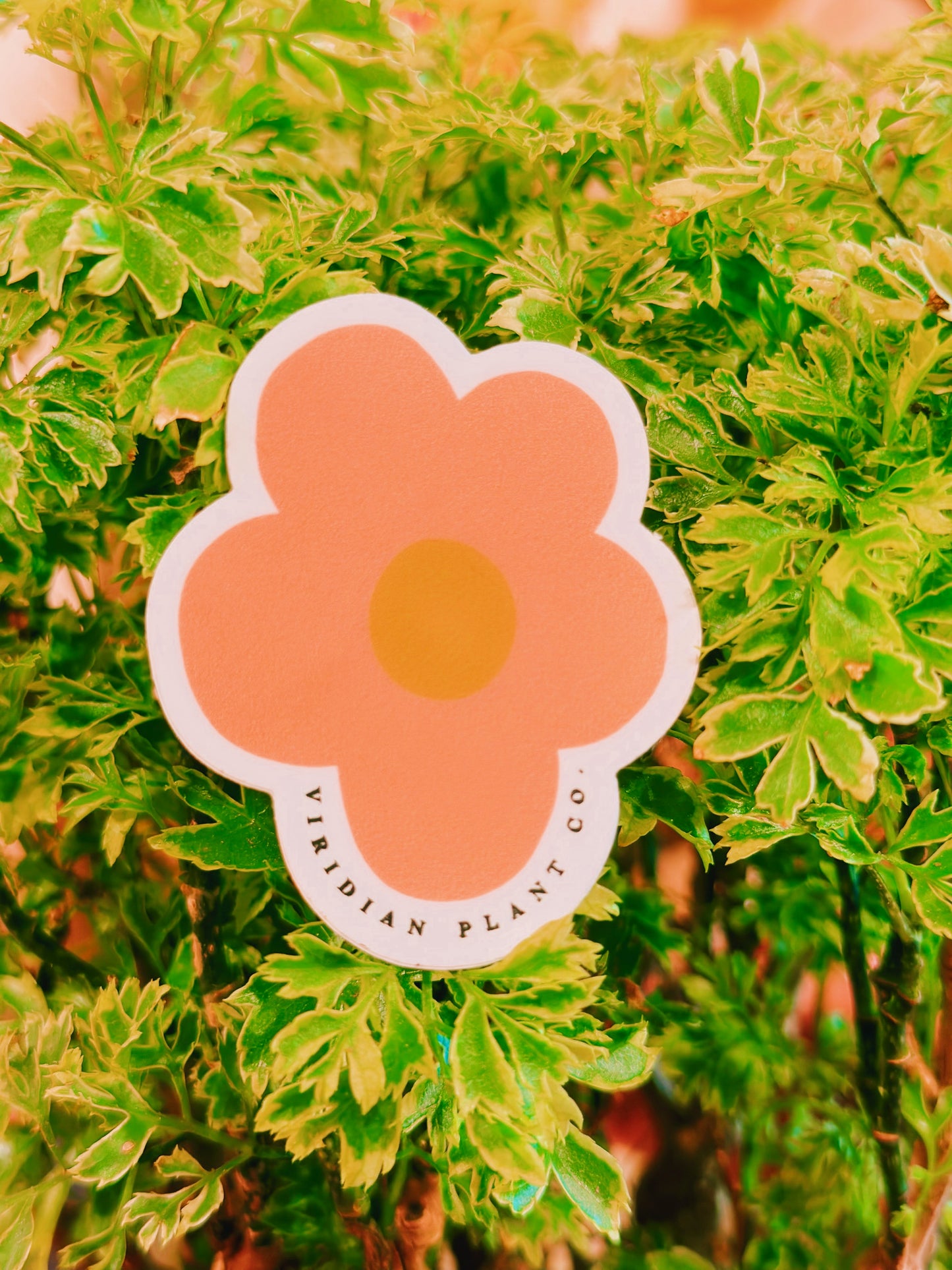 Viridian Pink Flower Sticker