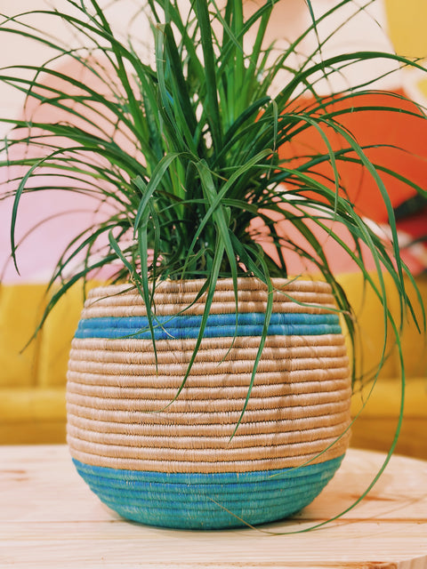 Honey Pot Woven Basket