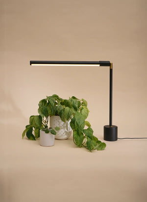 Versa™ Tabletop Grow Light