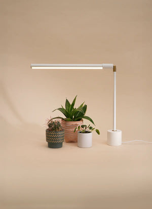 Versa™ Tabletop Grow Light