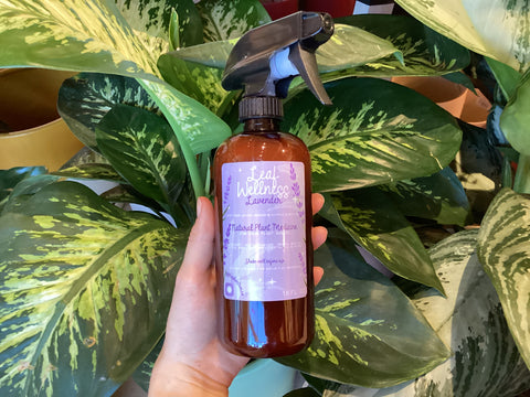 Leaf Wellness - All Natural Leaf Shine