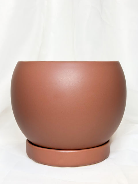 6" Bolle Pots