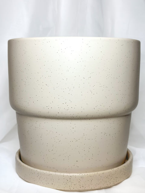 8.5" Calyx Pots