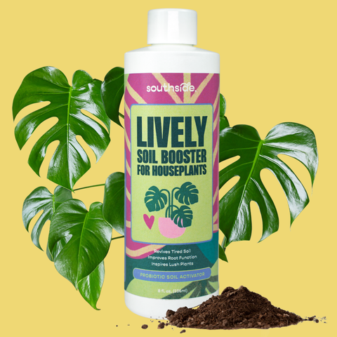 Lively Soil Booster for Houseplants