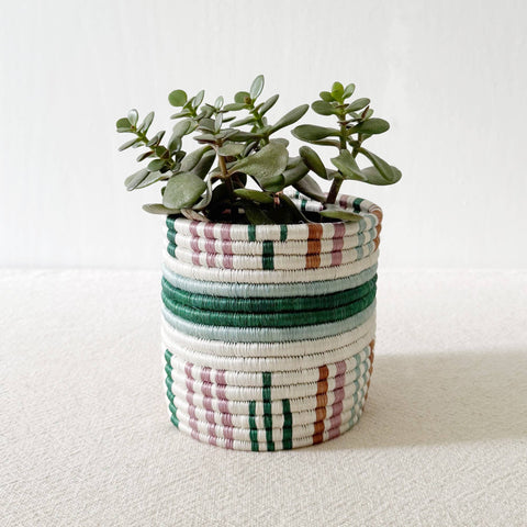 Storage Plant Basket: Kinonko