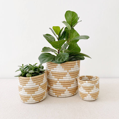 Storage Plant Basket: Zaza