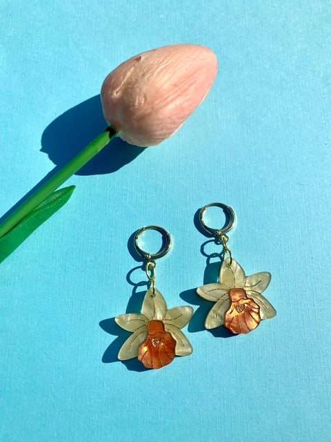 Mini Daffodils 
