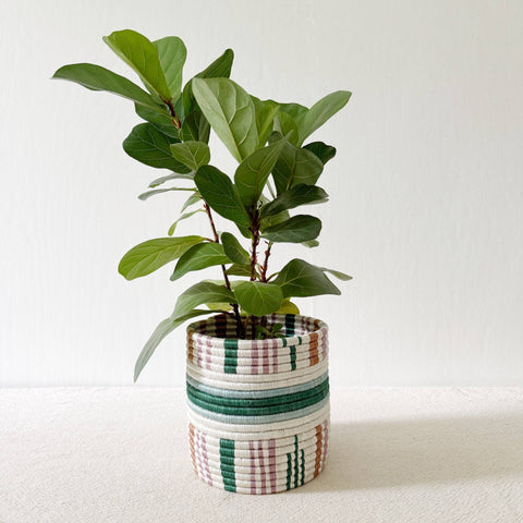 Storage Plant Basket: Kinonko