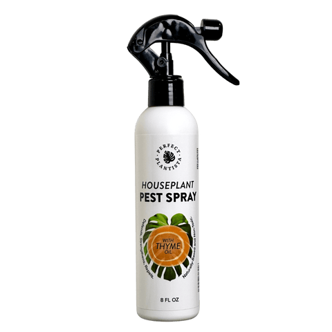 Natural + Non-Toxic Houseplant Pest Spray