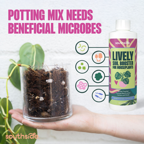Lively Soil Booster for Houseplants