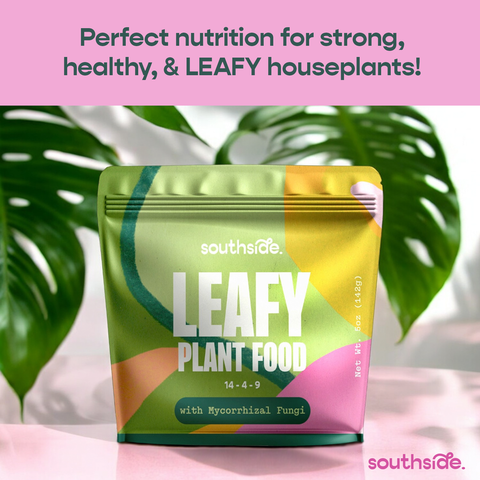 Leafy Plant Food - Complete Gentle Nutrition + Mycorrhizae