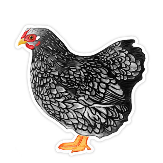 Chicken Sticker