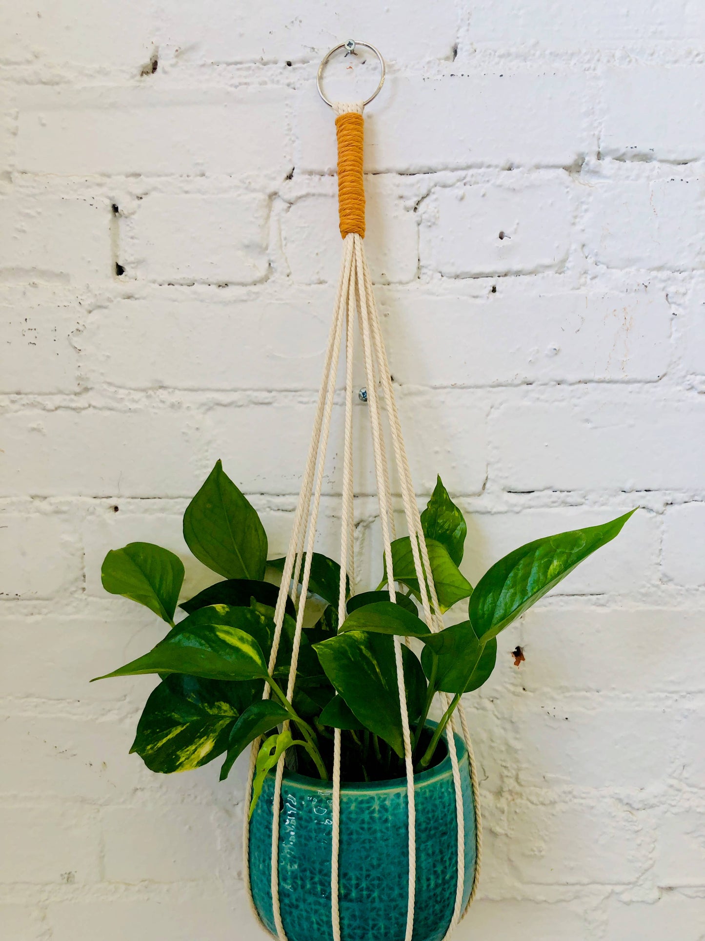 Joshua Tree Two-Tone Plant Hanger