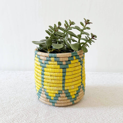 Storage Plant Basket: Ntoto