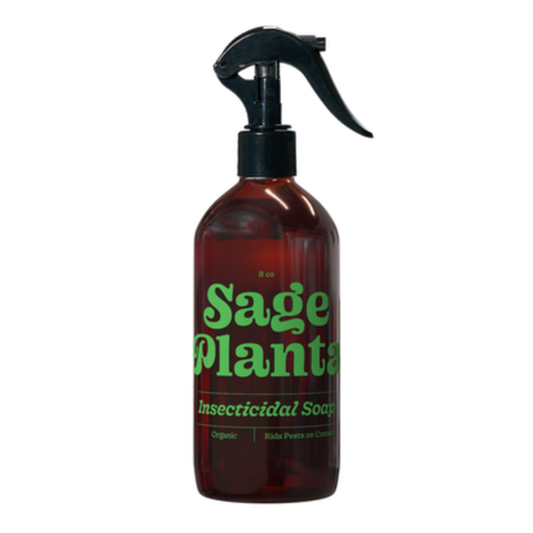Insecticidal Soap Plant Spray
