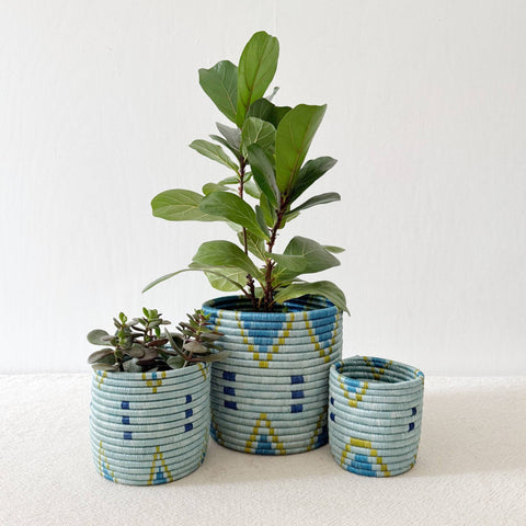 Storage Plant Basket: Bunda