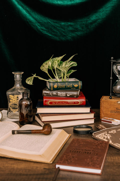 Sherlock Holmes Book Planter