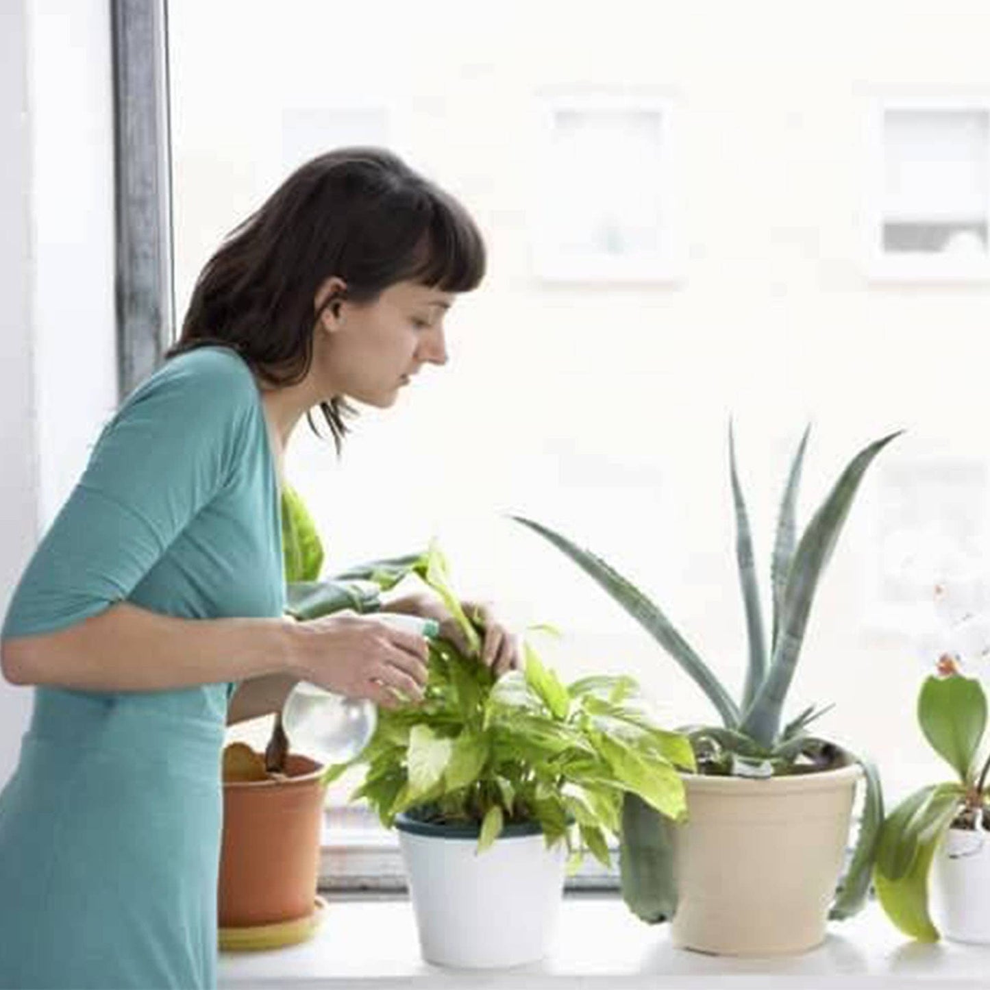 Houseplant Tap Water Conditioner