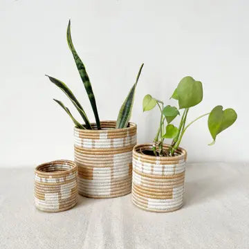 Storage Plant Basket: Bushoki