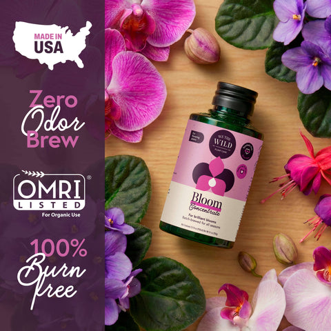 Bloom Organic Plant Food Concentrate 5 oz
