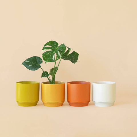 Parker Planter | Vintage White Speckle with Trivet