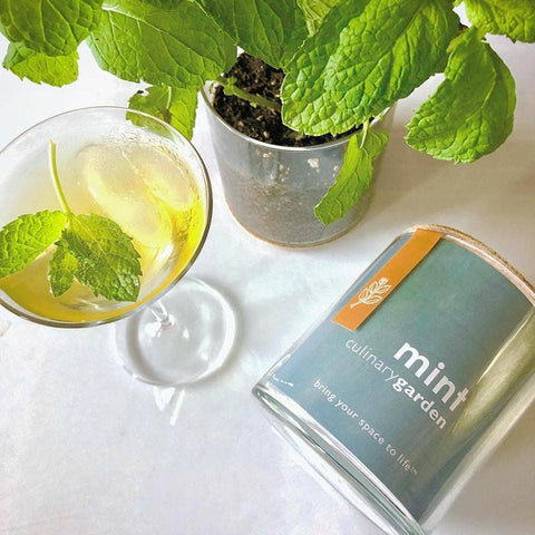 Essential | Mint Culinary Garden