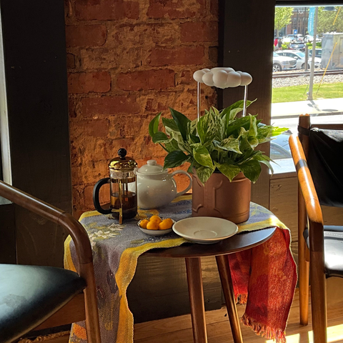 Original Dripping Rain Cloud