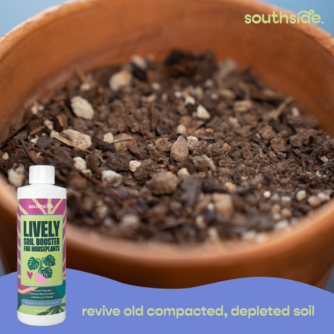 Lively Soil Booster for Houseplants