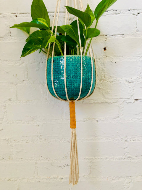 Joshua Tree Two-Tone Plant Hanger