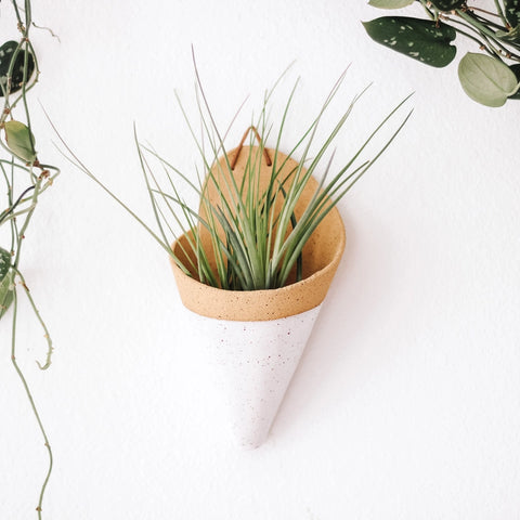 Ceramic Air Plant Cone