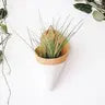 Ceramic Air Plant Cone