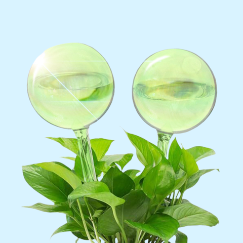 Self-Watering Plant Globes