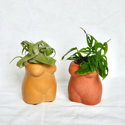 Female Shape Planter