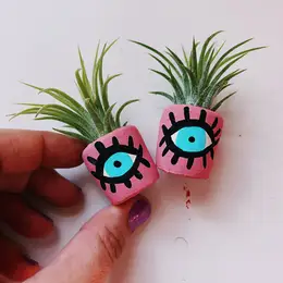 Mini Air Plant Holder with Air Plant