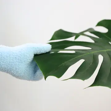 Leaf Shining Gloves