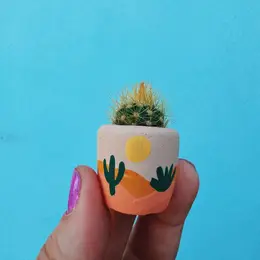 Mini Air Plant Holder with Air Plant