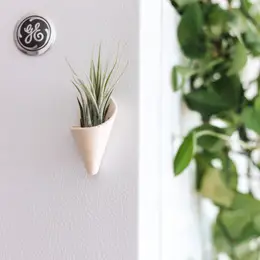 Magnetic Ceramic Air Plant Cone