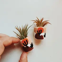 Mini Air Plant Holder with Air Plant