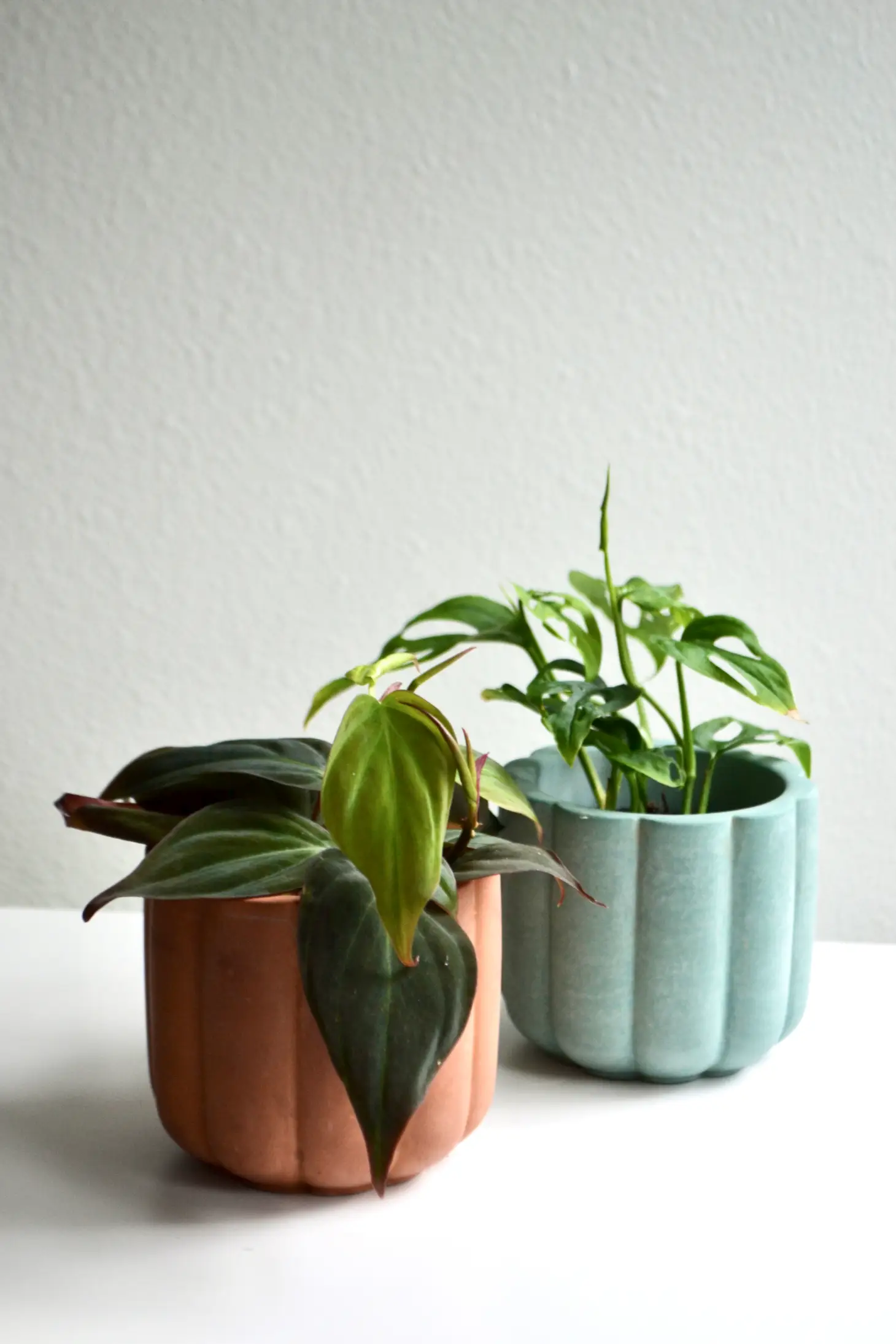 Fluted Cylinder Planter Viridian Plant Co