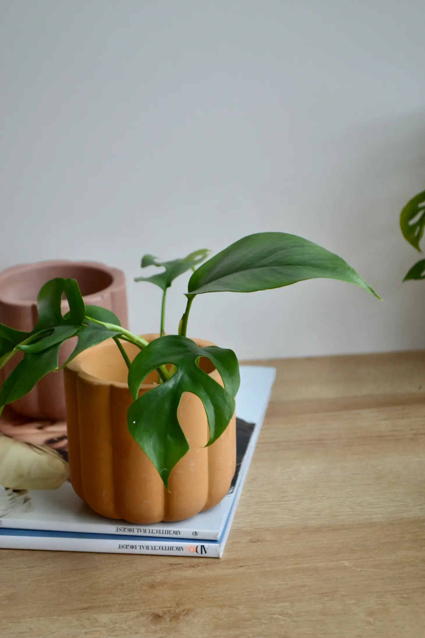 Fluted Cylinder Planter Viridian Plant Co