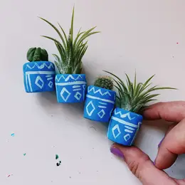 Mini Air Plant Holder with Air Plant