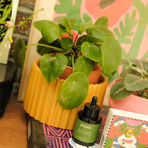 Self Watering Pot - Paula